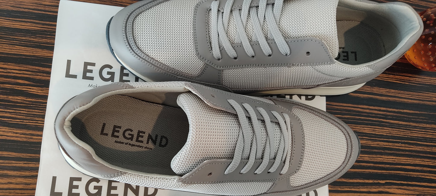 Legend Sedan Gray -42